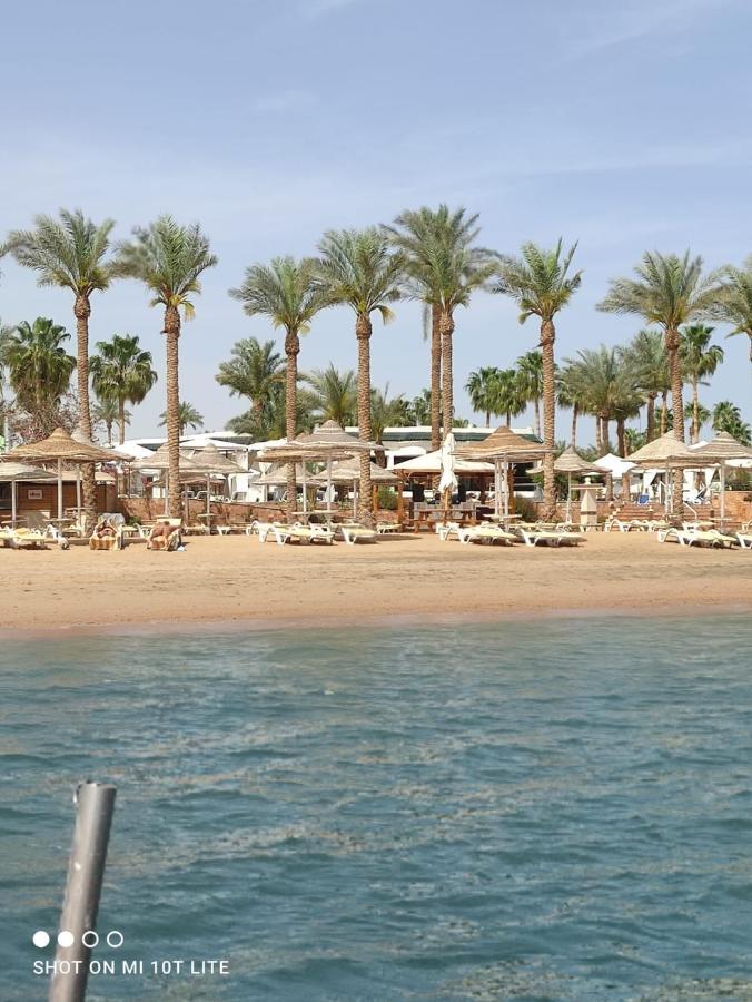 Seti Sharm Palm Beach Resort Families And Couples Only Sharm El Sheikk Exterior foto