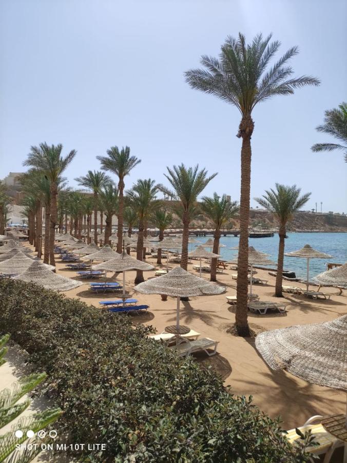 Seti Sharm Palm Beach Resort Families And Couples Only Sharm El Sheikk Exterior foto