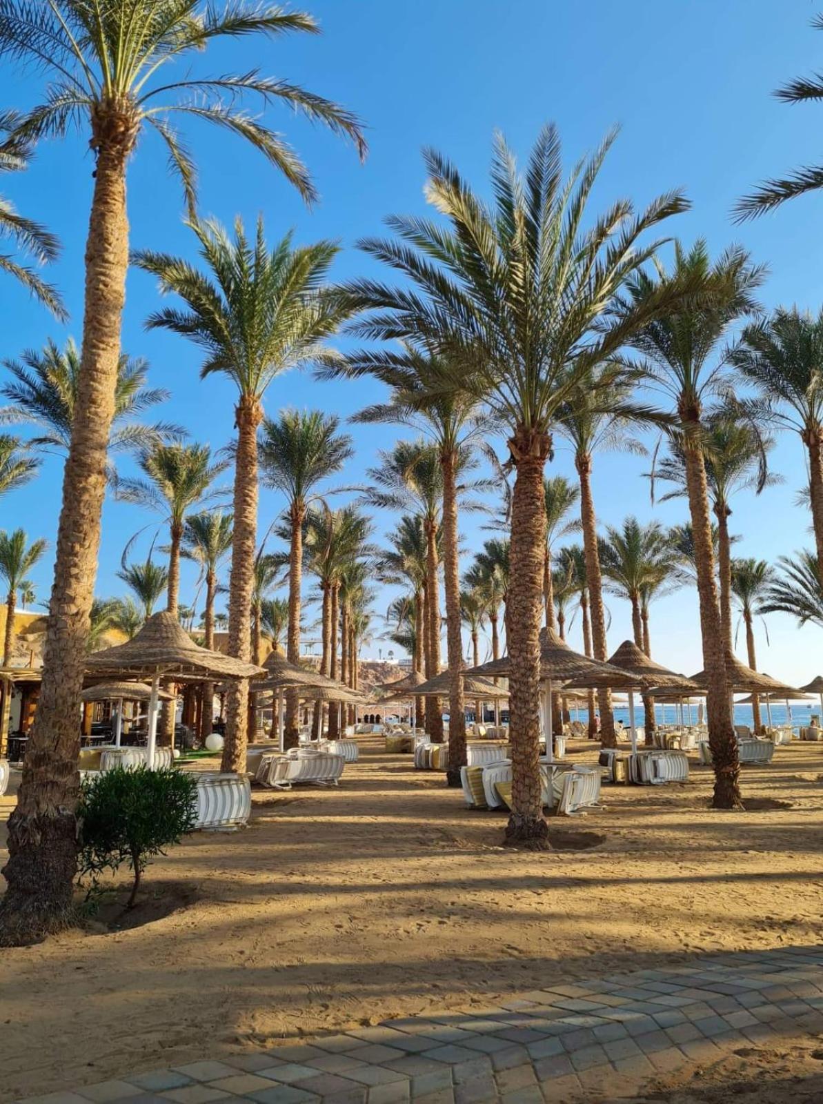 Seti Sharm Palm Beach Resort Families And Couples Only Sharm El Sheikk Exterior foto